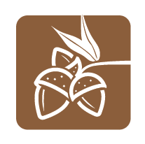 nuts-seeds-icons-01