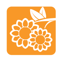 sunflower-oil-icon-01